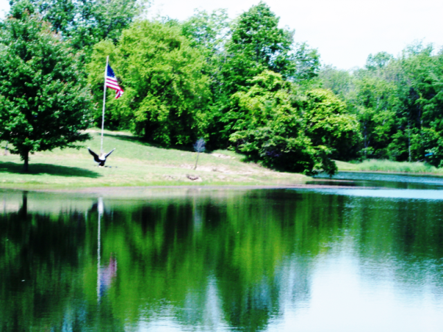 FishLake.jpg